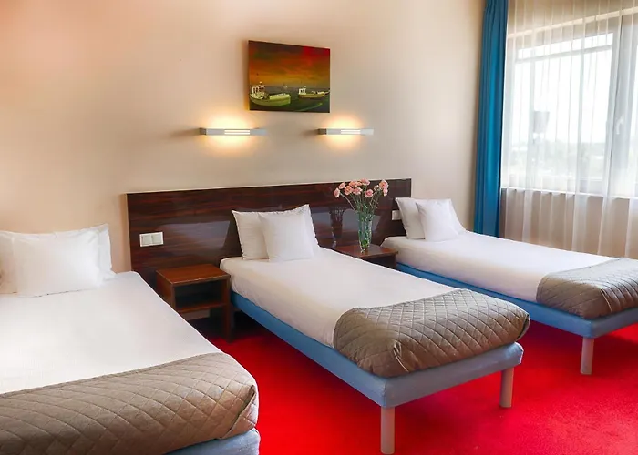 Focus グダニスク